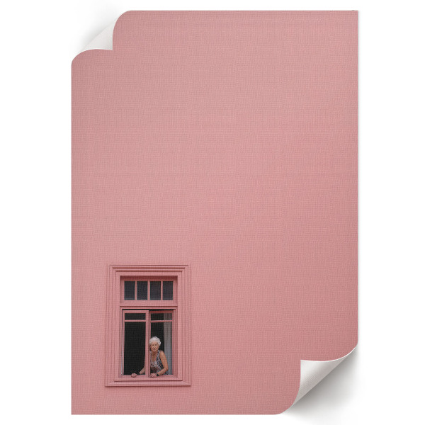 Bilder poster Rosa Fenster