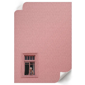Bilder poster Rosa Fenster