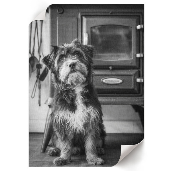Retro-Poster mit Hund auf Leinwand