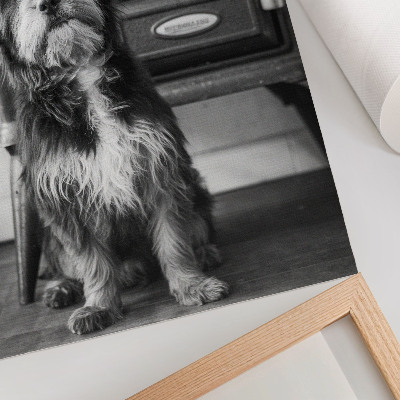 Poster auf leinwand Retro-Hund