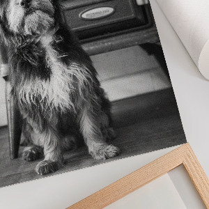 Retro-Poster mit Hund auf Leinwand