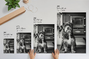 Retro-Poster mit Hund auf Leinwand