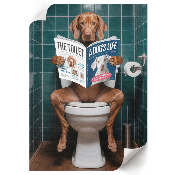 Poster auf Leinwand mit Motiv Hund auf einer Toilette