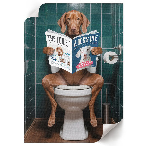 Poster auf Leinwand mit Motiv Hund auf einer Toilette