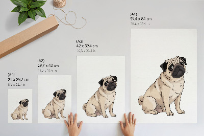 Bilder poster Mops