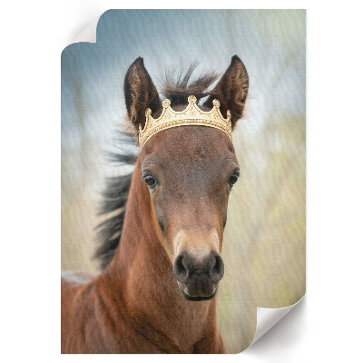 Poster leinwand Ein Pferd mit einer Krone
