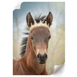 Poster leinwand Ein Pferd mit einer Krone