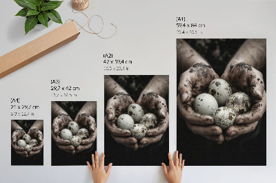 Poster kunstdruck Natürliche Eier