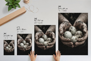 Kunstdruck-Poster mit natürlichem Eier-Motiv