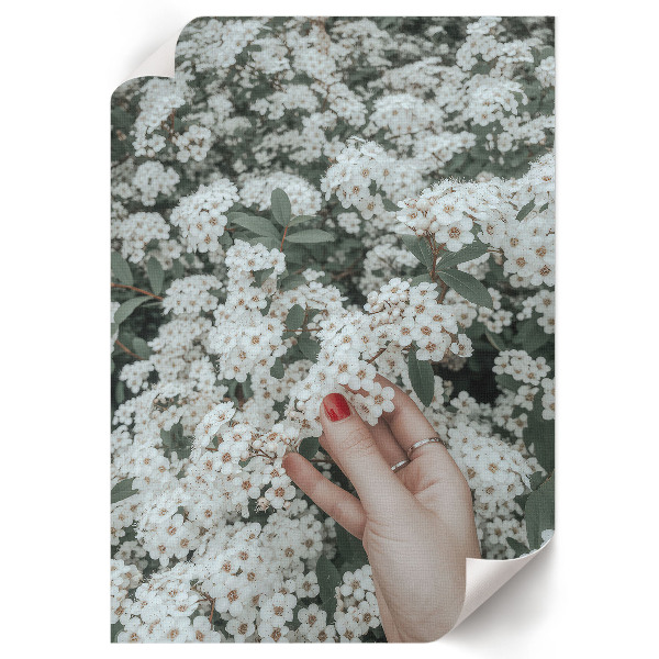 Poster auf leinwand Blumen in der Hand