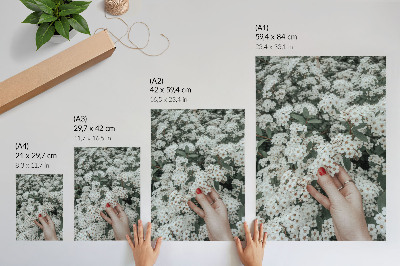Poster auf leinwand Blumen in der Hand