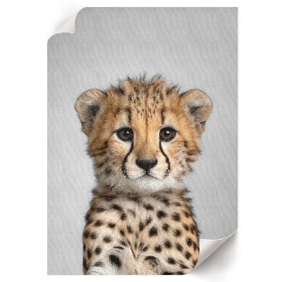 Wand poster Junger Gepard