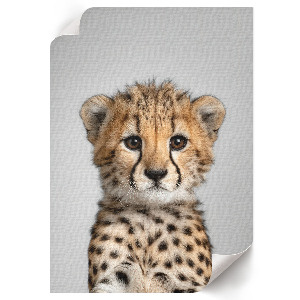 Wandposter mit Motiv eines jungen Geparden