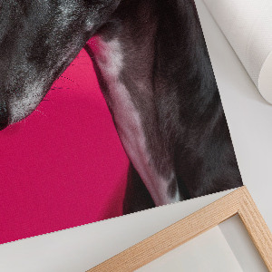 Kunstdruck leinwand Hundeporträt
