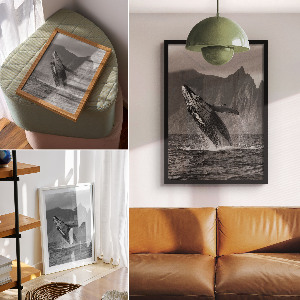 Bilder poster Wal springt