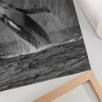 Bilder poster Wal springt