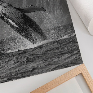 Bilder poster Wal springt