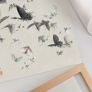 Poster Kunstdruck mit Schmetterlingen und Motten