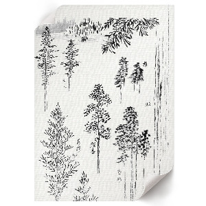 Wandposter mit Kiefernmotiv