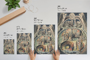 Poster na stenu Behemot a Leviatan