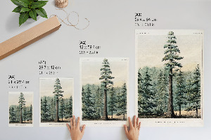 Poster na stenu Wellingtonia