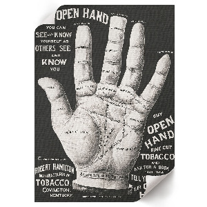 Bilder poster Offene Hand