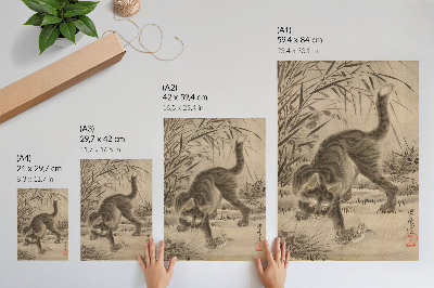 Bilder poster Katze fängt einen Frosch
