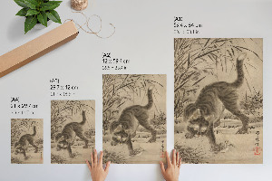 Bilder poster Katze fängt einen Frosch
