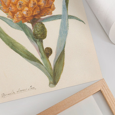 Poster leinwand Bromelie Ananas
