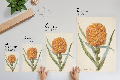 Poster leinwand Bromelie Ananas