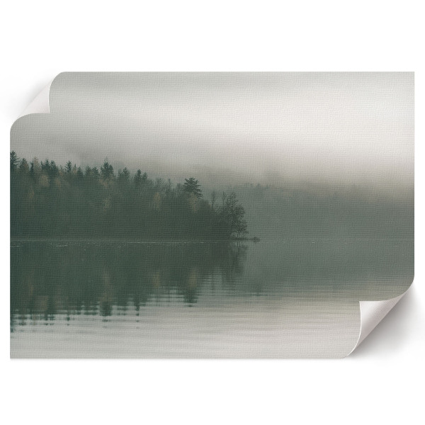 Poster mit Waldnebel-Motiv