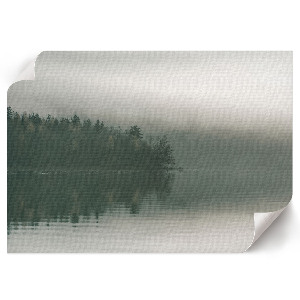 Poster Waldnebel