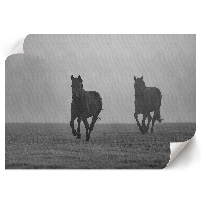 Poster mit dem Motiv „Pferde auf der Flucht