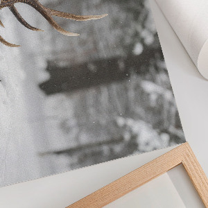Poster mit Bildern von Geweihen im Schnee