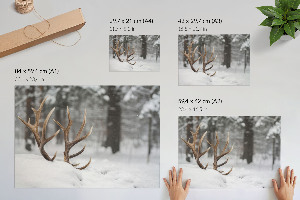 Poster mit Bildern von Geweihen im Schnee