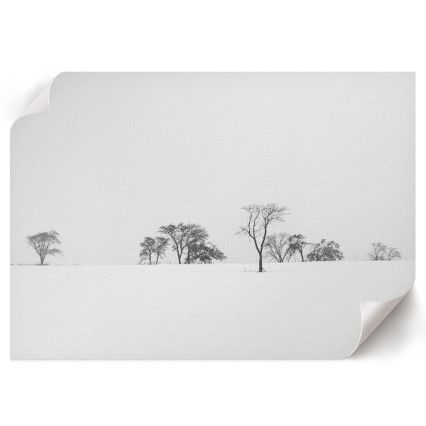 Poster Bäume im Winter