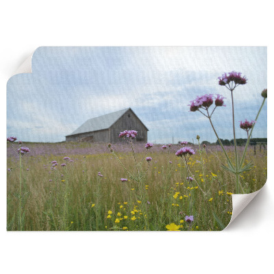 Plakat mit ländlicher Landschaft