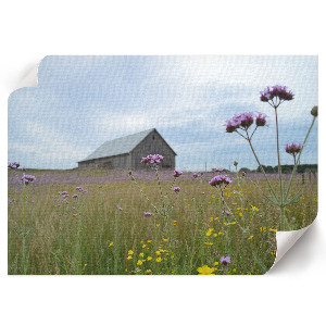 Plakat mit ländlicher Landschaft