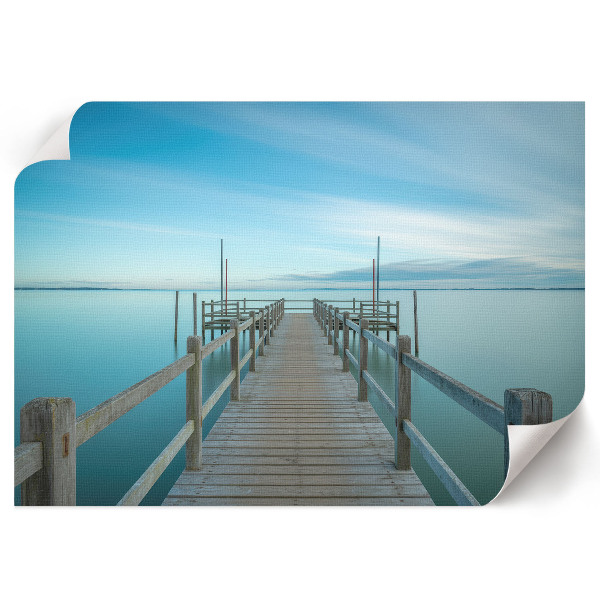 Poster bilder Seemole