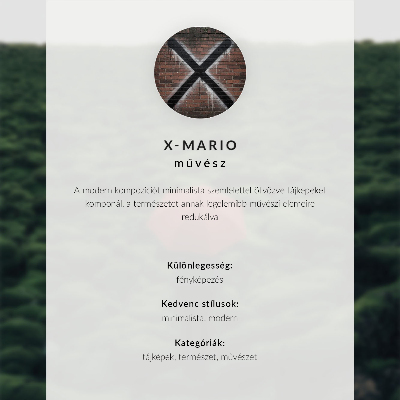 Poster mit Motiv einer Seemöwe