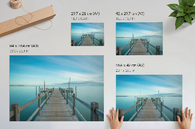 Poster mit Motiv einer Seemöwe