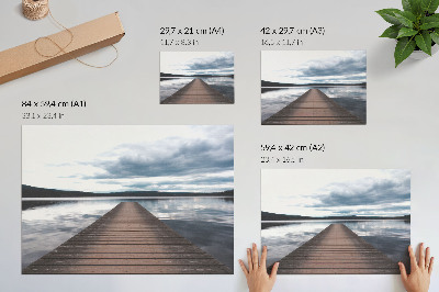 Poster mit Druckmotiv einer Seemöwe