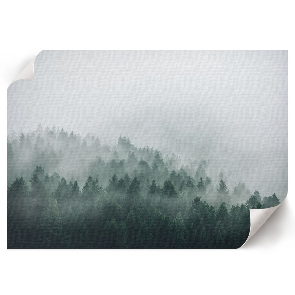 Poster mit Druckmotiv 'Nebelwald'