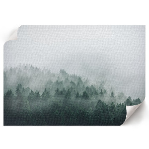 Poster mit Druckmotiv 'Nebelwald'
