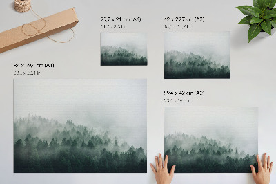 Poster mit Druckmotiv 'Nebelwald'