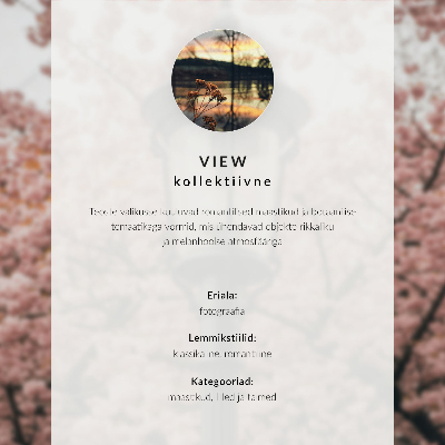 Poster mit Bild einer Frau am Wasser