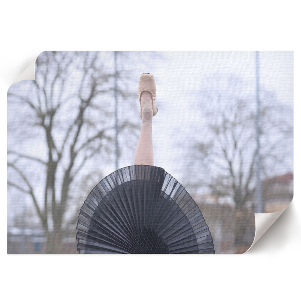 Wandposter mit elegantem Ballettmotiv