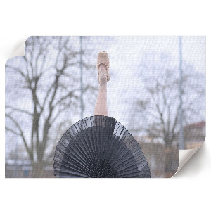Wandposter mit elegantem Ballettmotiv