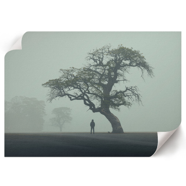 Wandposter mit Motiv eines Baumes im Nebel