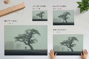 Wandposter mit Motiv eines Baumes im Nebel